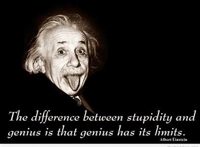 La différence entre la stupidité et le génie c